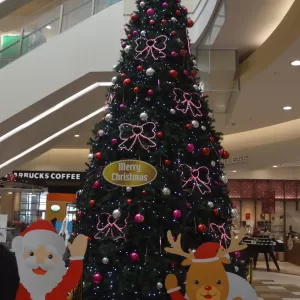 “園児たちのクリスマス会”　イオンモール姫路大津のサムネイル